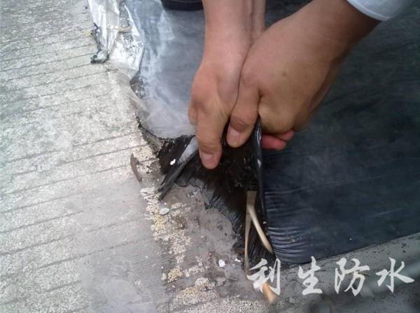 屋面做好的防水卷材撕不烂