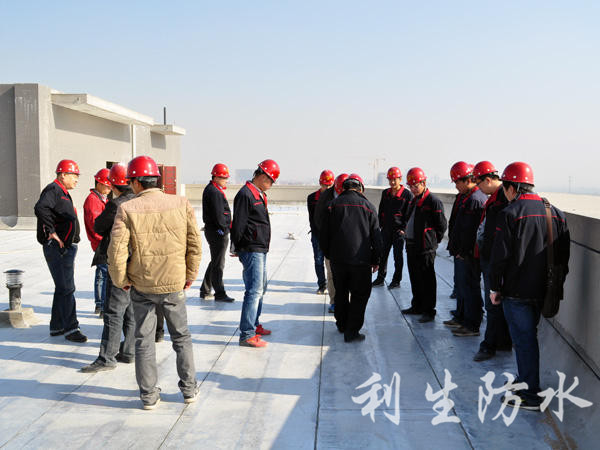 项目部负责人检查卷材施工质量03